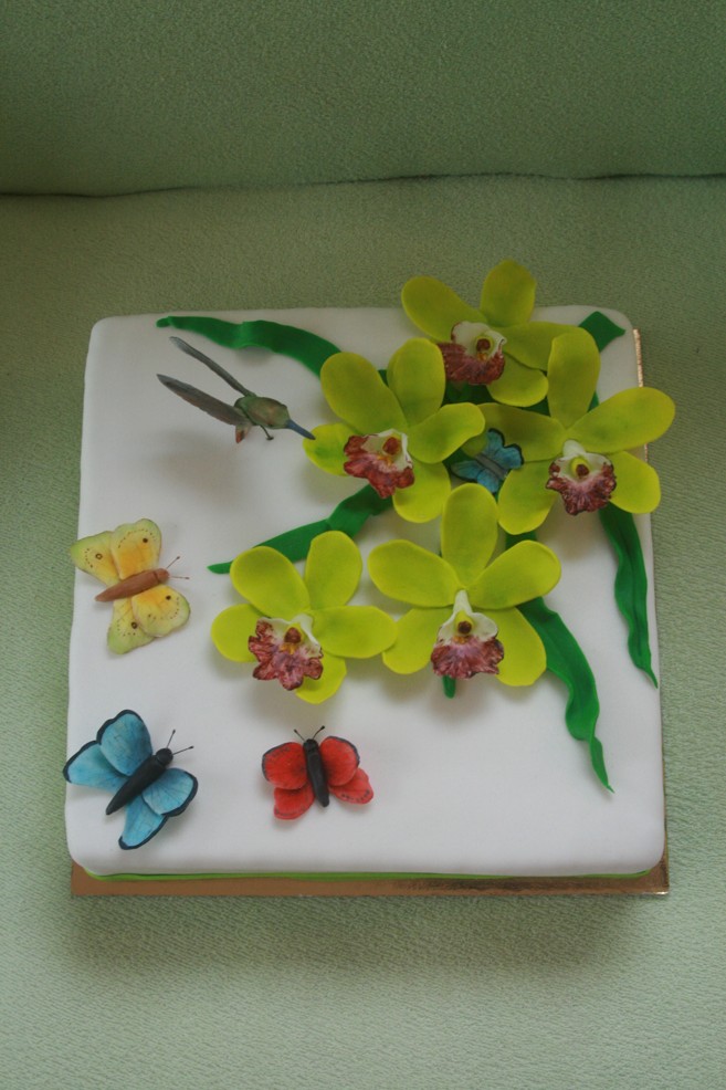 orchidejový dort s kolibříkem a motýli 1