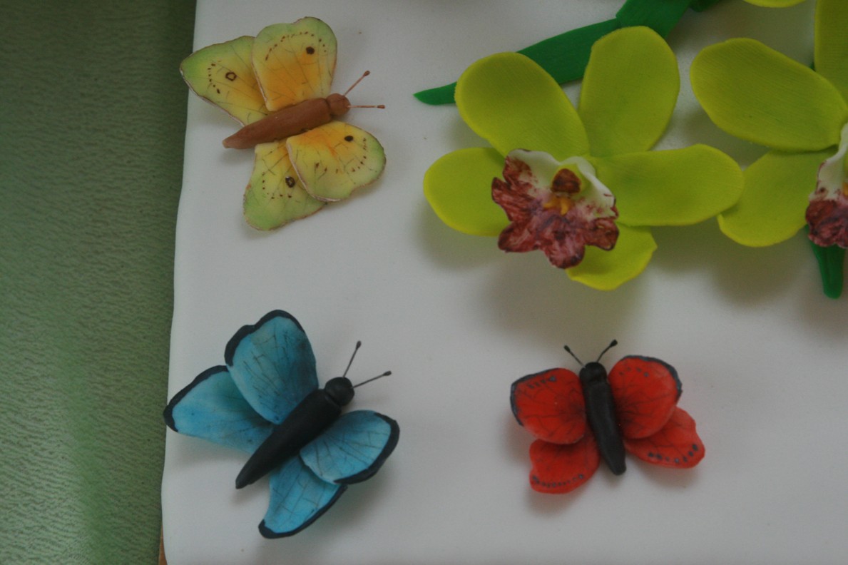 detail na motýli