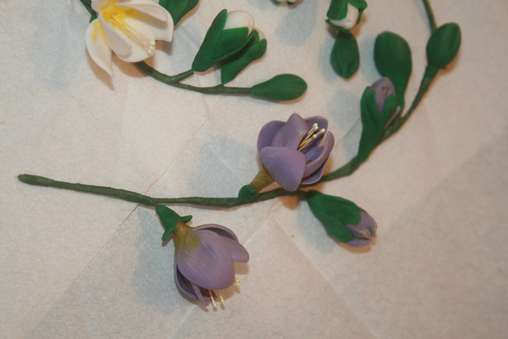 frézie detail