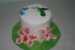 malovaný dort kolibřík